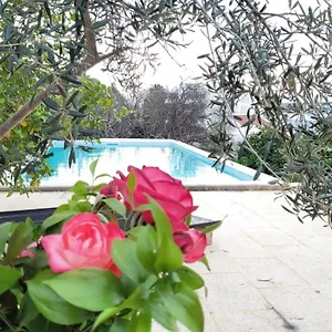  Villa La Casa D'olhao Portugal
